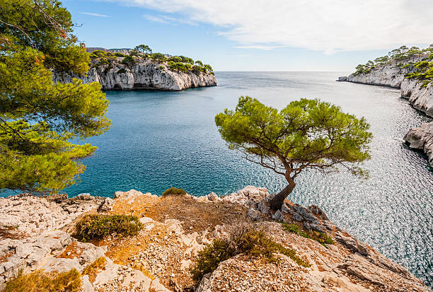 corse